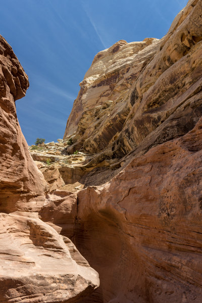 Narrow section in Little Wild Horse Canyon