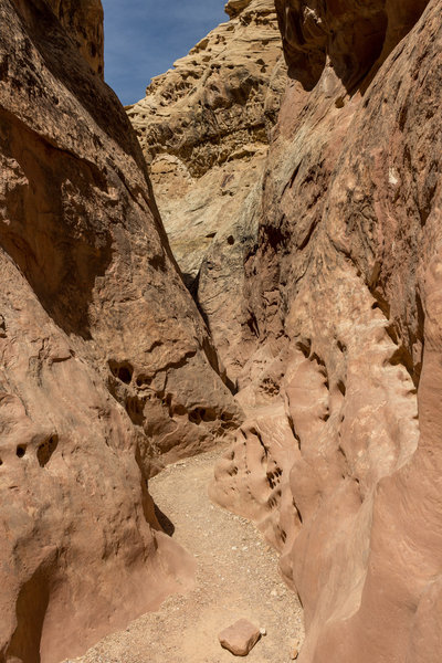 Little Wild Horse Canyon is no place for people who don't like confined spaces