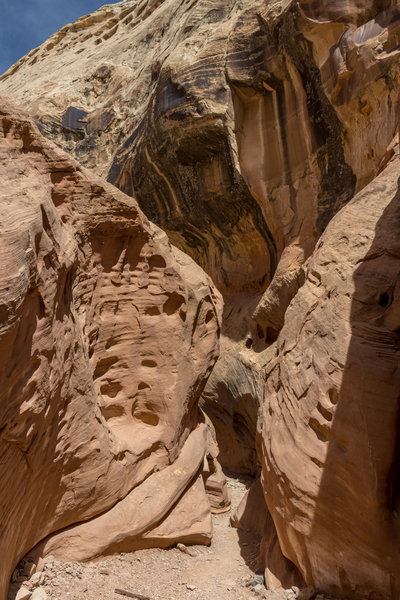 Squeezing through the Kayenta Sandstone in Little Wild Horse Canyon