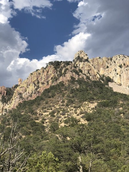 Emory Peak from Laguna Meadow