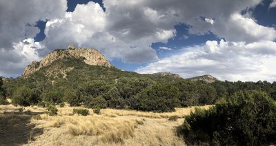 Laguna Meadow