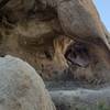 Petroglyphs on Barker Dam nature trail. Park has excellent signage; directional and info. You can easily see this formation 30-50ft off trail next to info sign. Trail is behind and to the left, and continues back to trailhead. Facing S @ 330pm.