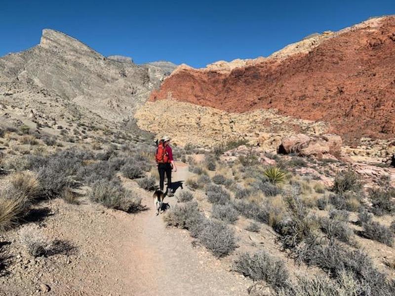 A different view of Turtlehead Peak from the Kraft Mountain Loop