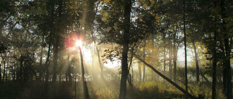 The 410-acre Humbug Marsh Unit contains the last mile of nature shoreline along the U.S. Mainland portion of the Detroit River