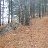 The large glacial erratic on the spur trail to the Campsite