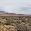 Along Knoll Trail you can look out to see Turtlehead Peak and Calico Tanks