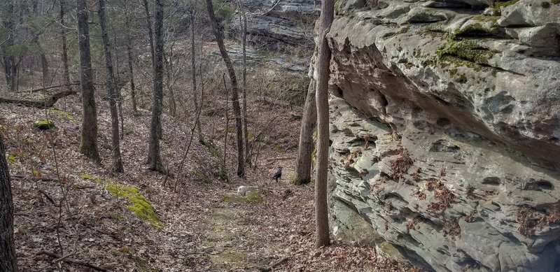 Old CCC stairs