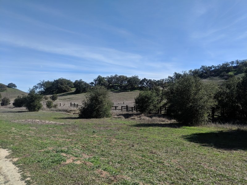 Rolling pastures with oak trees and a broken fence. A remnant of the Moreno cattle ranch.