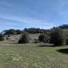 Rolling pastures with oak trees and a broken fence. A remnant of the Moreno cattle ranch.