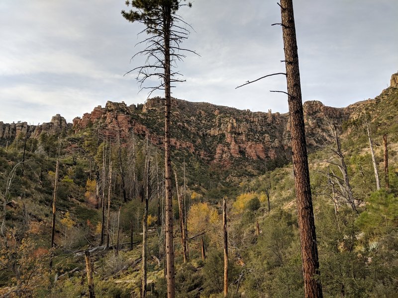 The rim towers above you.