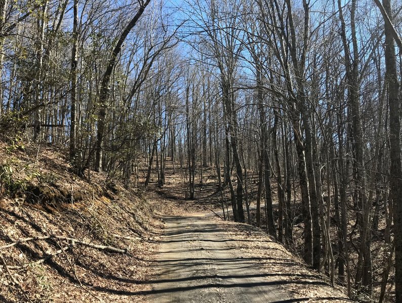 Typical trail view.