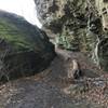 Under the bluffs at Trillium Trail.