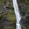 190 foot Starvation Creek Falls makes a great backdrop for the small picnic area that is easily accessed from the rest stop