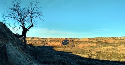 Canyon walls on the far side of the Prairie Dog Fork of the Red River are seen looking northeast from the CCC Trail on the northeast side of the ridge to Goodnight Peak.