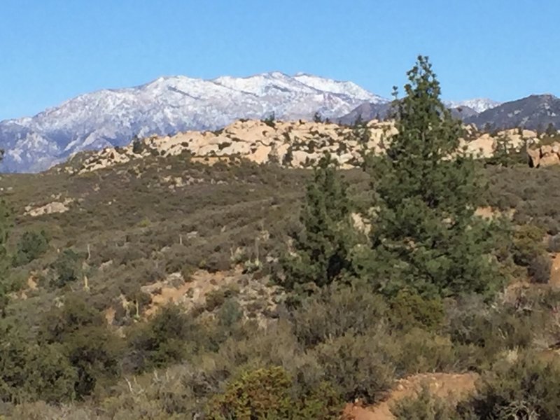 Heading north on the PCT towards Live Oak Spring.