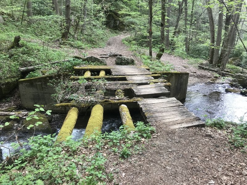 Near trailhead of Bowlen's Creek