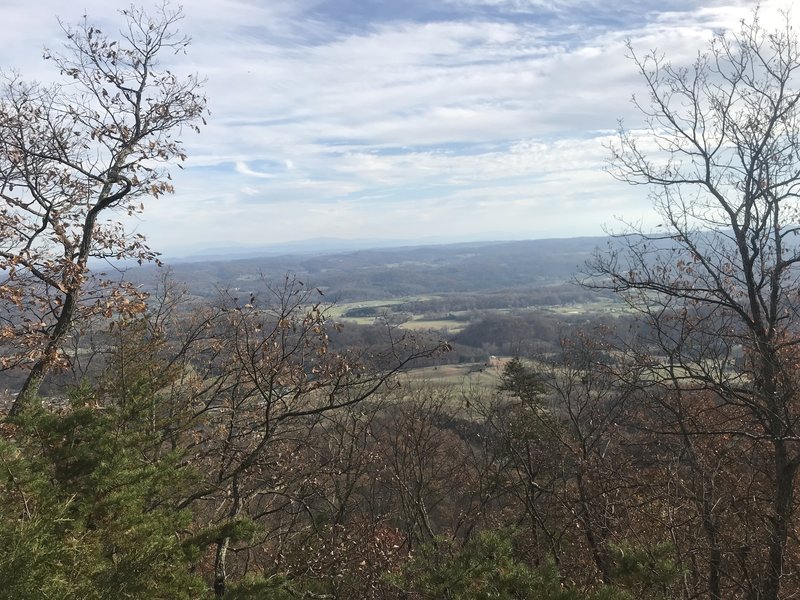 Scenic view from Bays Ridge Trail