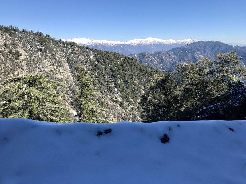 Views of Mt. San Antonio and Monrovia Peak from the toll road near the summit