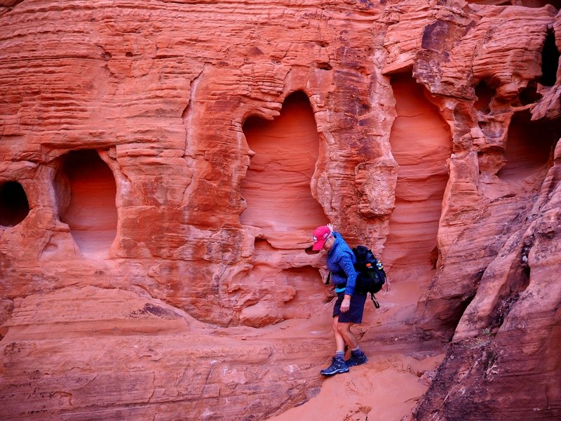 Intricate erosion-carved walls in the wash