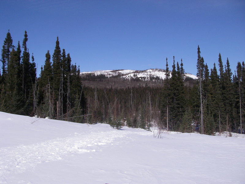 The knoll with snowshoe trails D6 and E3 as seen from the chalet