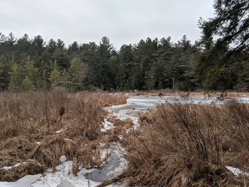 open water wetland on York Lake in winter