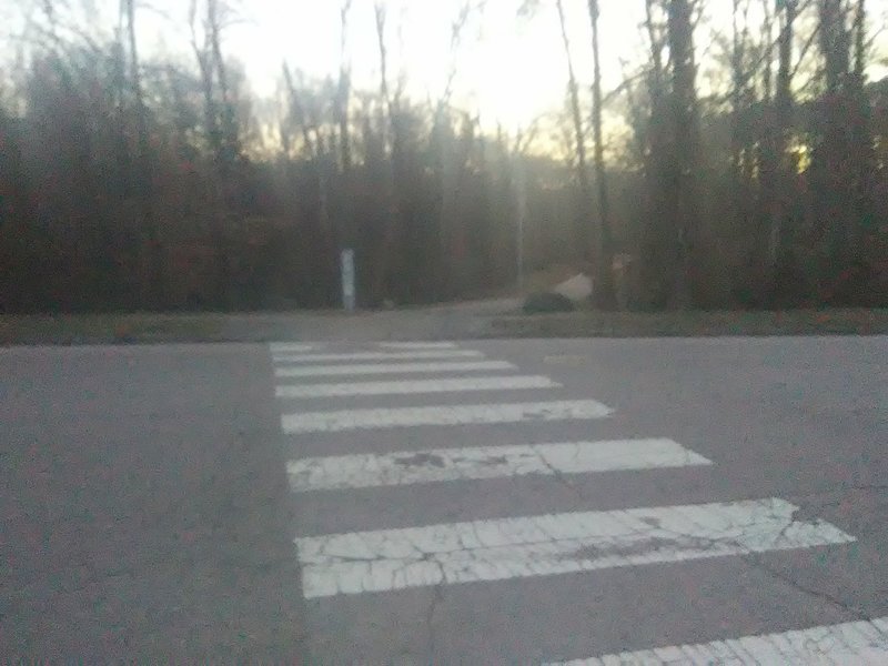 Trail crossing at Elmira Ave.