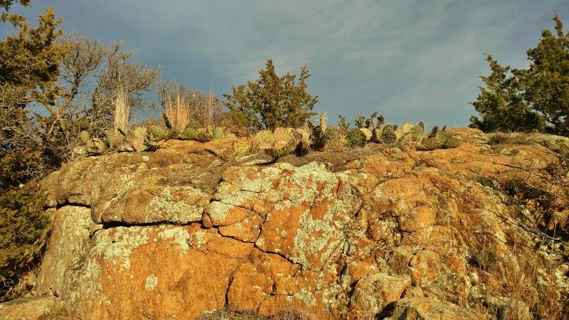 Juniper, prickly pear cacti, and rocks are everywhere along Elk Mountain Trail