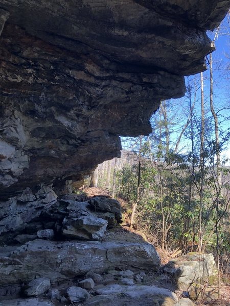 “Cave” along Conley Cove Trail.