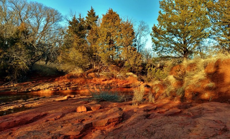 A bright late afternoon in February on the banks of Spring Creek, along Trail C.