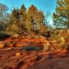 A bright late afternoon in February on the banks of Spring Creek, along Trail C.