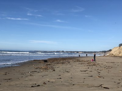 Waddell Beach
