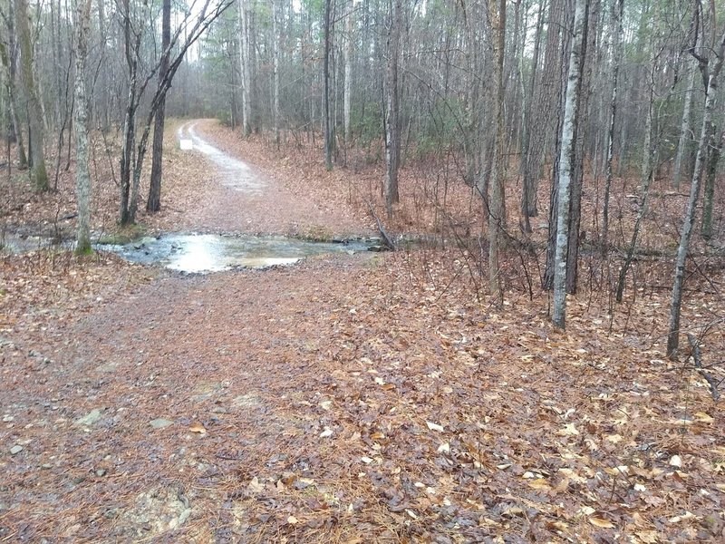 Fendley Trail Loop A stream crossing.