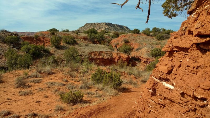 There's a lot of red sandstone with white gypsum stripes here along Comanche Trail Mid as it rounds a bend.