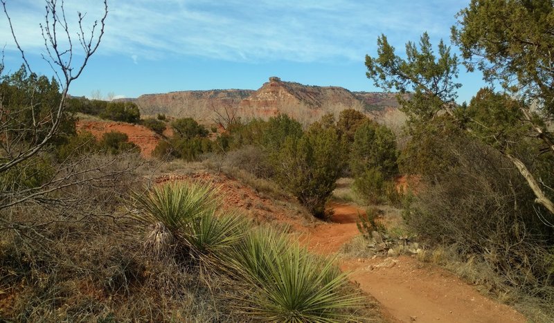 Goodnight Peak is in the distance when looking northwest at the end of Kiowa Trail.