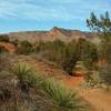 Goodnight Peak is in the distance when looking northwest at the end of Kiowa Trail.