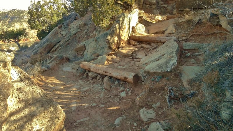 Go up to the right here when heading south on CCC Trail, to hike the Goodnight Peak Scenic Loop. No trail sign for it.