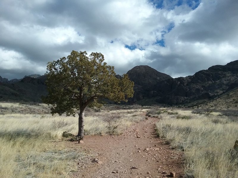 Half way up the trail.