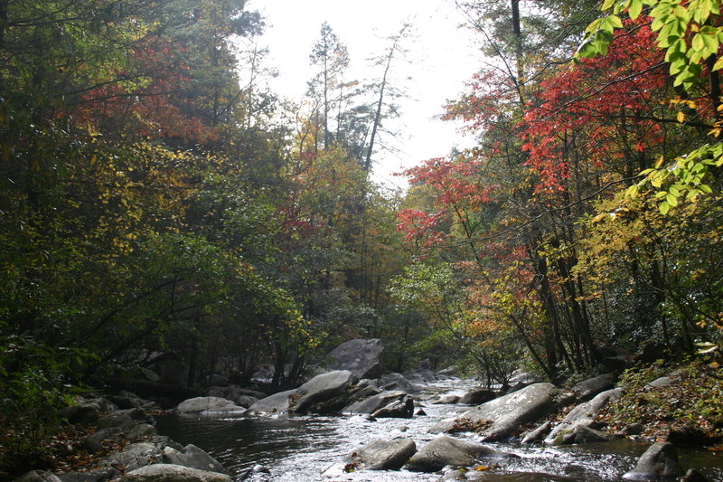 Emery Creek above the Holly Creek confluence.