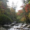 Emery Creek above the Holly Creek confluence.