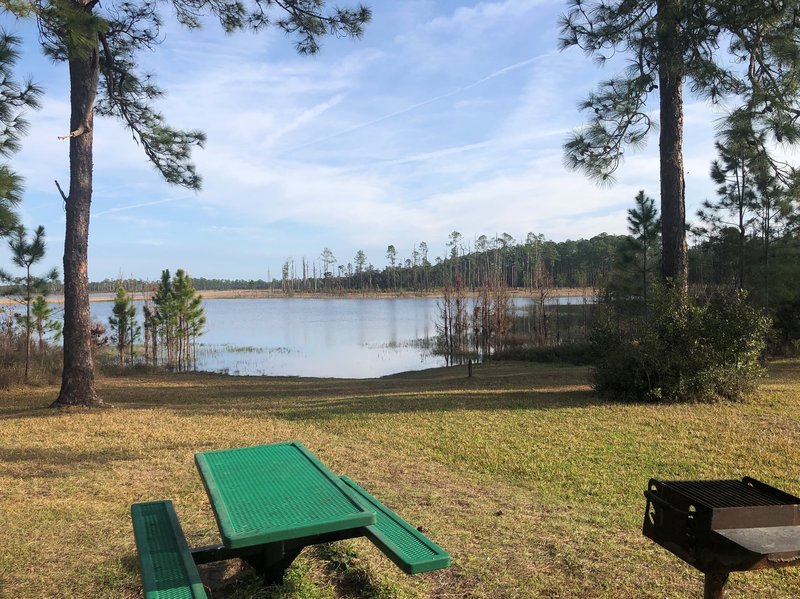 Farles Lake - Ocala National Forest