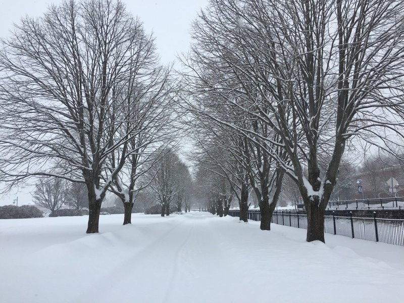 Burlington Waterfront Trail, after a snowstorm.