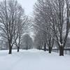 Burlington Waterfront Trail, after a snowstorm.