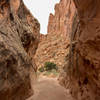 This narrow section of Lower Muley Twist Canyon is just a taste of the much more impressive section further downstream.