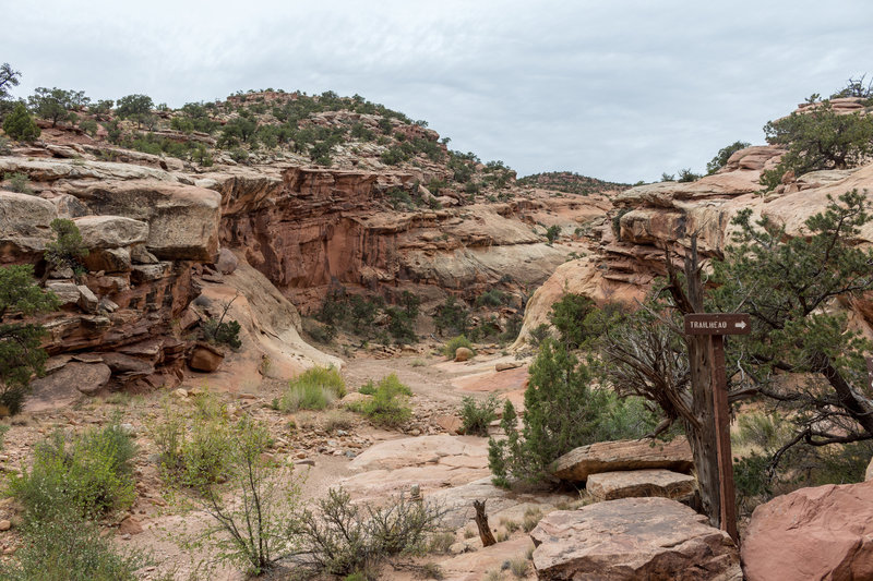 The Post Cutoff Trail can be easy to miss since the sign is only visible when you approach it from the south.