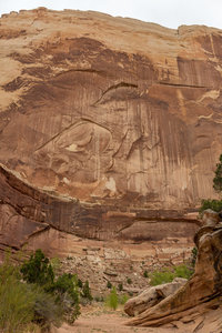 The walls in Lower Muley Twist Canyon reach more than 700 hundred feet above you.