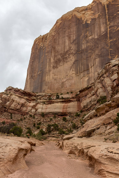 Massive towers made of Kayenta Sandstone watching over Lower Muley Twist Canyon.