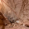 Water has carved enormous alcoves into the walls of Lower Muley Twist Canyon.