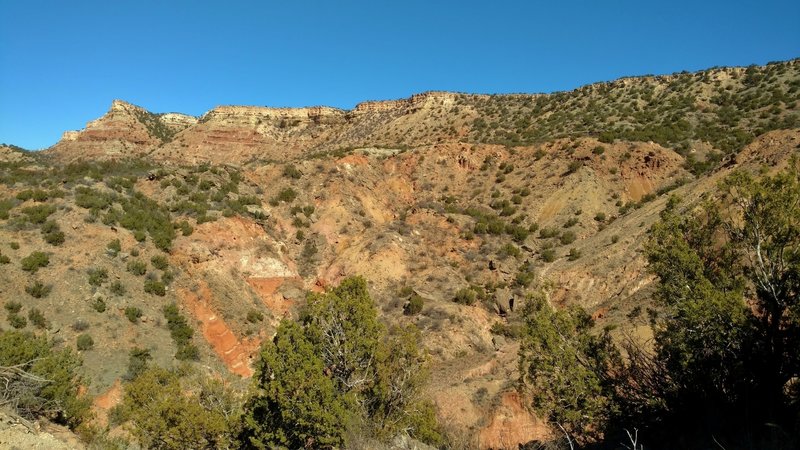 Looking up at Fortress Cliff along Rock Garden Trail.