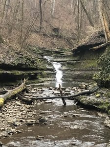 Water drop at the edge of the trail.