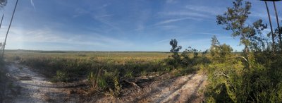 Open vista before Buck Lake.
